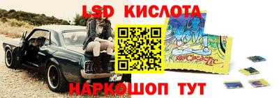 шишки Канаш