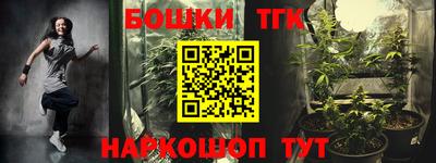 шишки Канаш