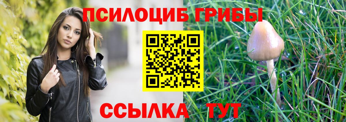 Галлюциногенные грибы Psilocybe Зеленодольск